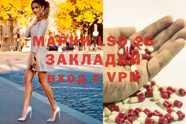 мдпв Ельня