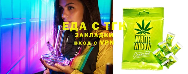 мдпв Ельня