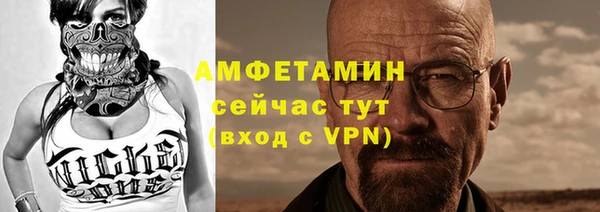 мдпв Ельня