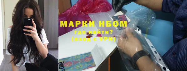 мдпв Ельня