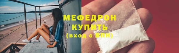 мдпв Ельня