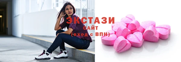 мдпв Ельня