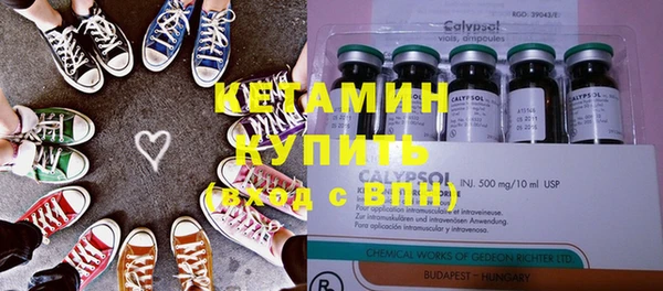 мдпв Ельня