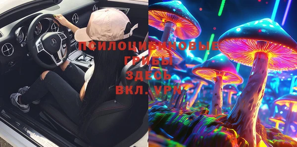 мдпв Ельня