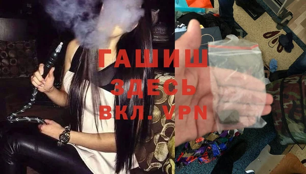 мдпв Ельня