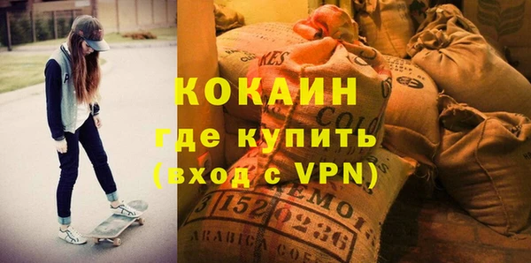 мдпв Ельня