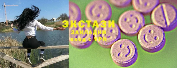 мдпв Ельня