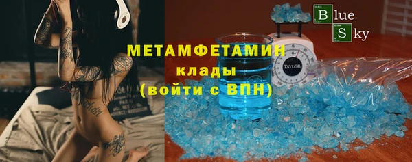 мдпв Ельня