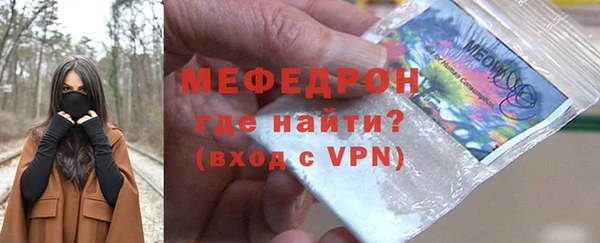 мдпв Ельня